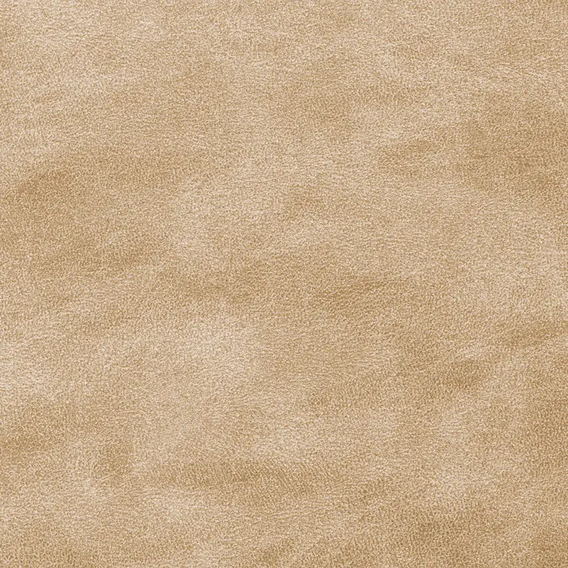 img test moquette Pro Sol